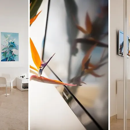 Отель Caravelle Thalasso & Wellness 4*