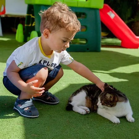 فندق Caravelle Thalasso & Wellness